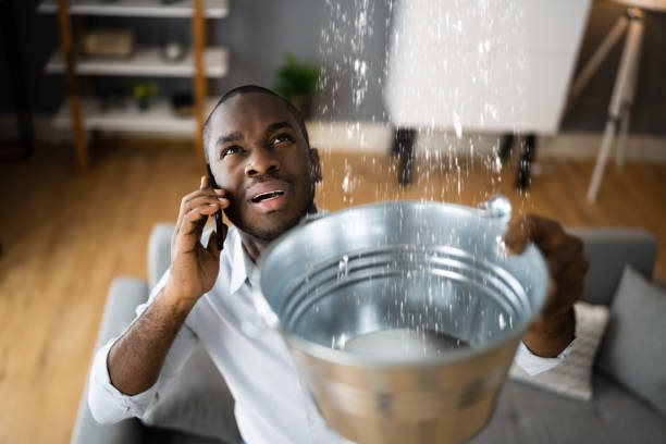 Best Flood damage cleanup  in Rockdale, TX