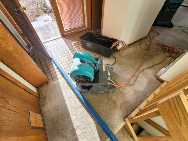 Best Water damage restoration company  in Rockdale, TX