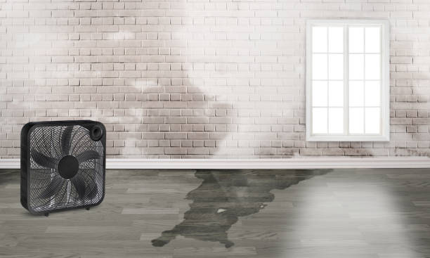 Best Fire Damage Restoration  in Rockdale, TX