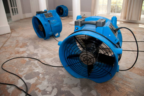 Best Professional water damage repair  in Rockdale, TX